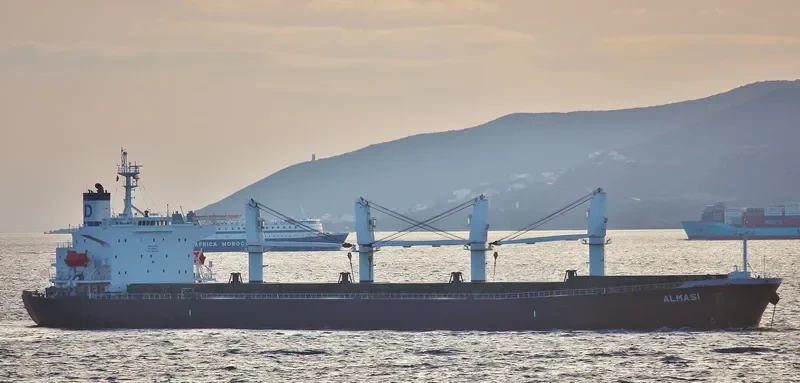 ALMASI Bulk Carrier IMO 9222481 photo 7