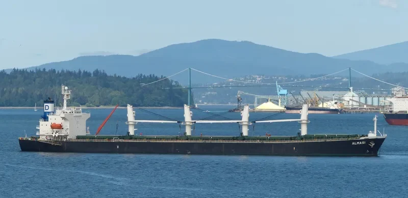 ALMASI Bulk Carrier IMO 9222481 photo 8