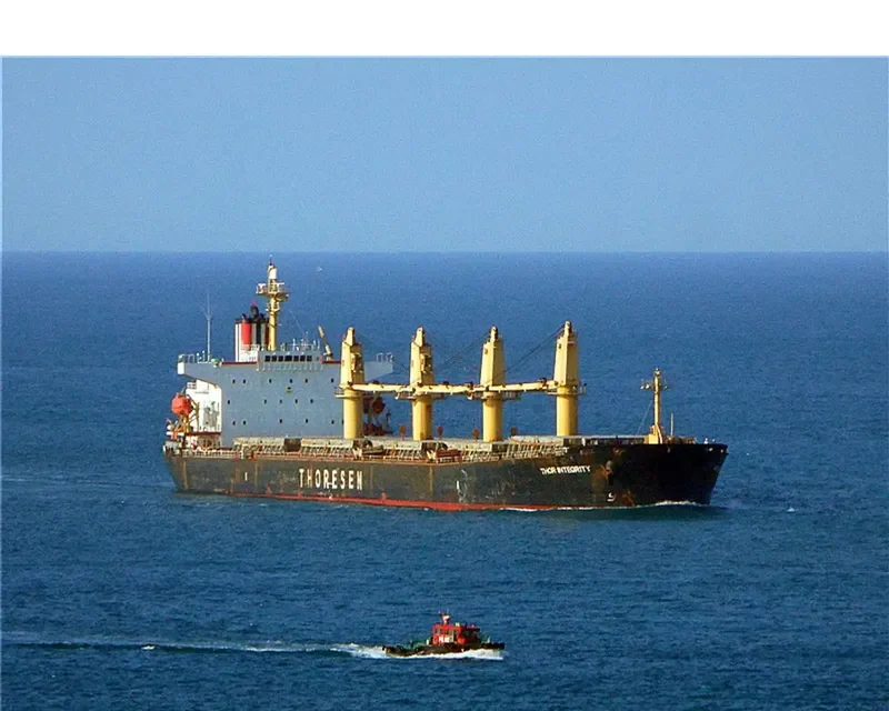 THOR INTEGRITY Bulk Carrier IMO 9222493 photo 5