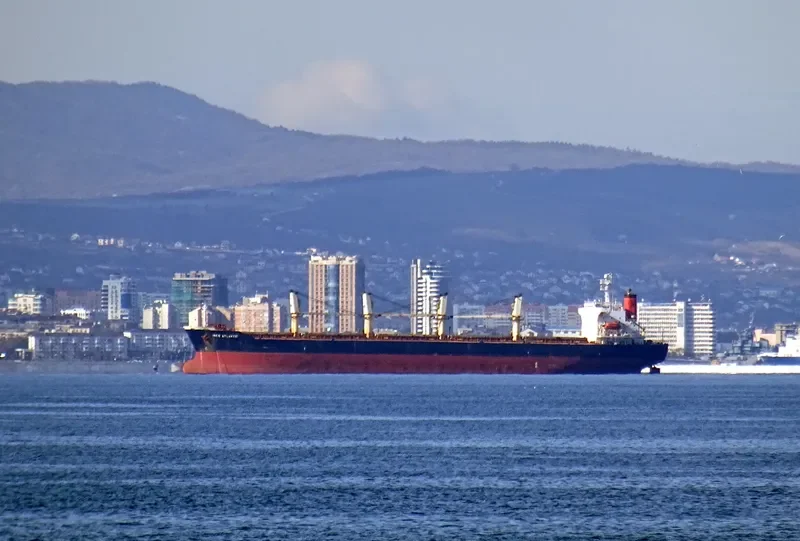 INCE ATLANTIC Bulk Carrier IMO 9222508 photo 4