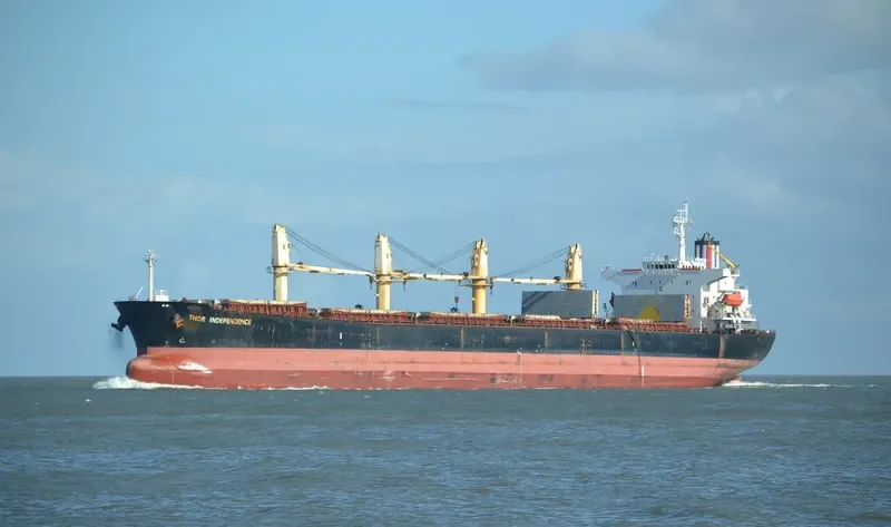 THOR INDEPENDENCE Bulk Carrier IMO 9222510 photo 3