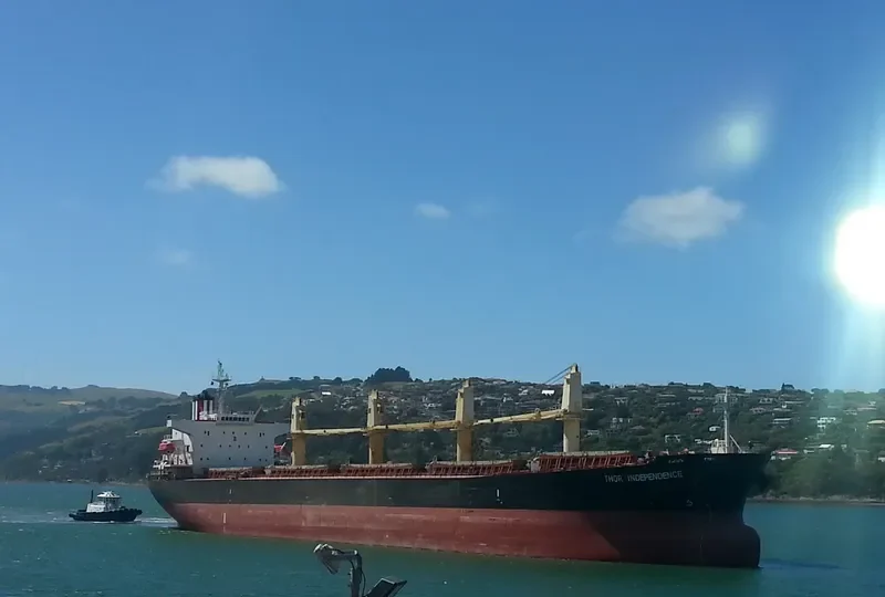 THOR INDEPENDENCE Bulk Carrier IMO 9222510 photo 6