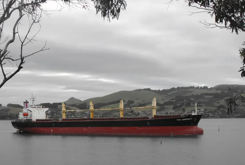THOR INDEPENDENCE Bulk Carrier IMO 9222510 photo 7
