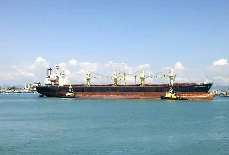 THOR INDEPENDENCE Bulk Carrier IMO 9222510 photo 8
