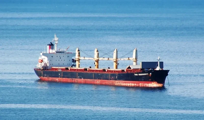 THOR INDEPENDENCE Bulk Carrier IMO 9222510 photo 9