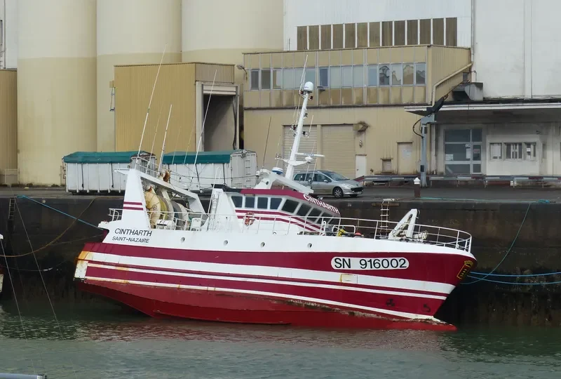 CINTHARTH General Cargo IMO 9222596 photo 6