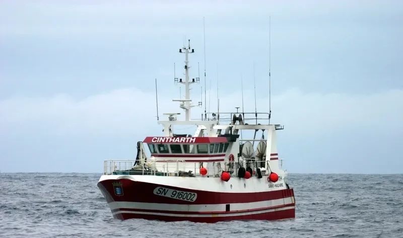CINTHARTH General Cargo IMO 9222596 photo 7