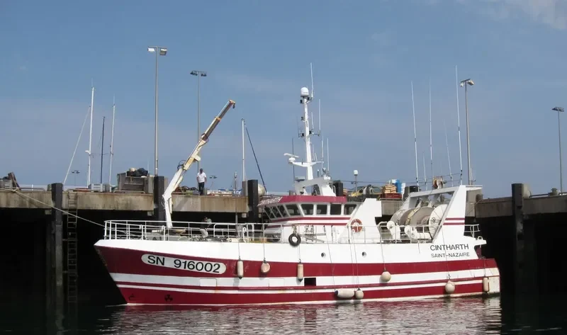 CINTHARTH General Cargo IMO 9222596 photo 9