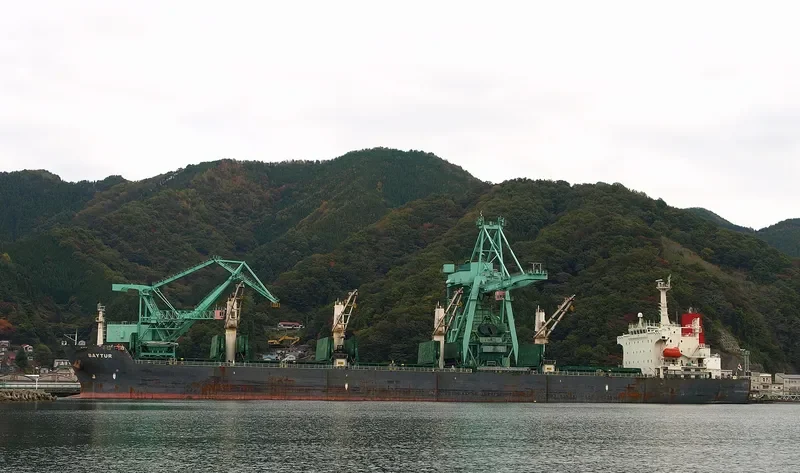 ZX GLORY Bulk Carrier IMO 9222601