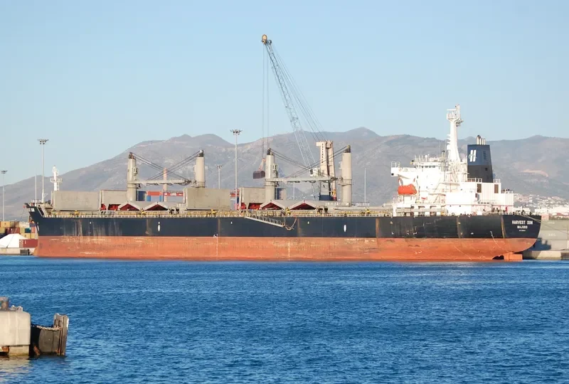 OCEAN BRIDGE Bulk Carrier IMO 9222625 photo 2