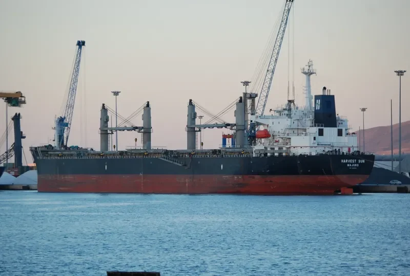 OCEAN BRIDGE Bulk Carrier IMO 9222625 photo 3