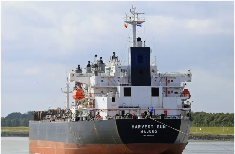 OCEAN BRIDGE Bulk Carrier IMO 9222625 photo 7
