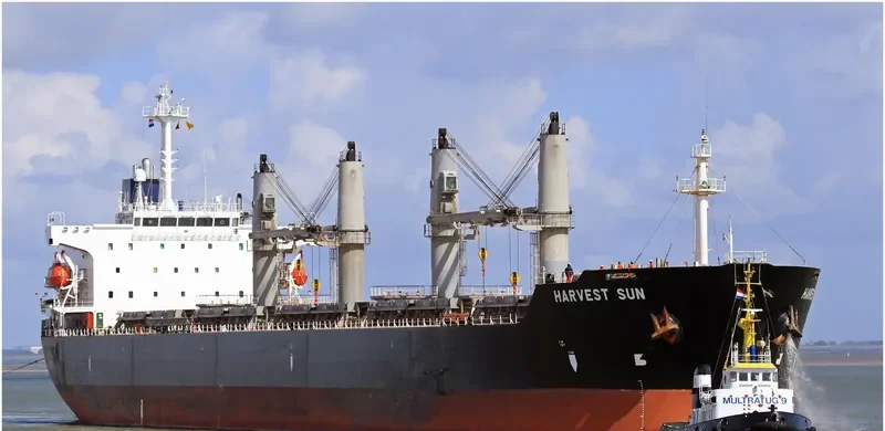 OCEAN BRIDGE Bulk Carrier IMO 9222625 photo 8