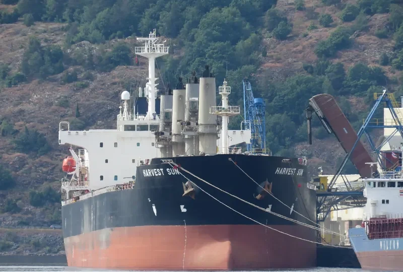 OCEAN BRIDGE Bulk Carrier IMO 9222625 photo 9