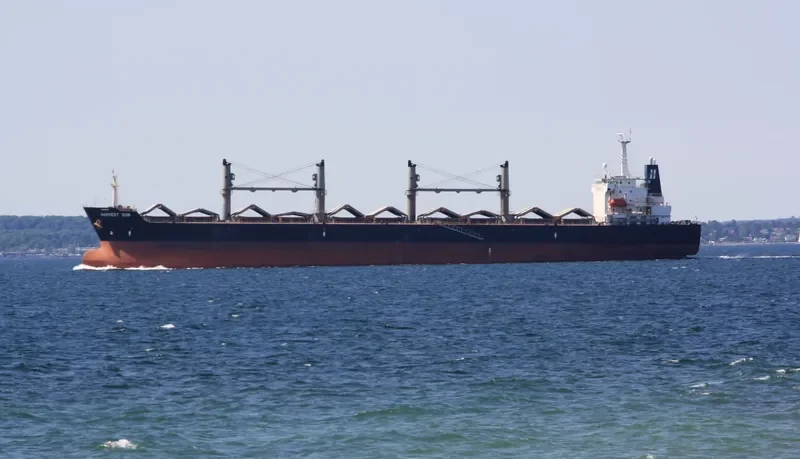 OCEAN BRIDGE Bulk Carrier IMO 9222625 photo 10