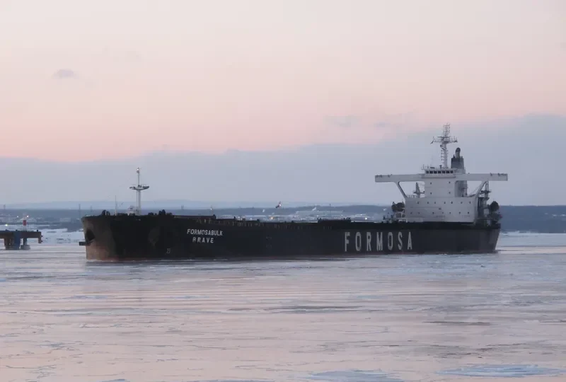 FORMOSABULK BRAVE Bulk Carrier IMO 9222730 photo 6