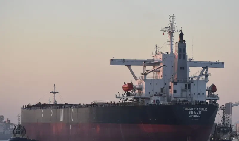 FORMOSABULK BRAVE Bulk Carrier IMO 9222730 photo 9