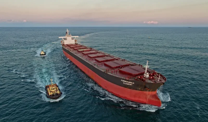 FORMOSABULK CLEMENT Bulk Carrier IMO 9222742 photo 5
