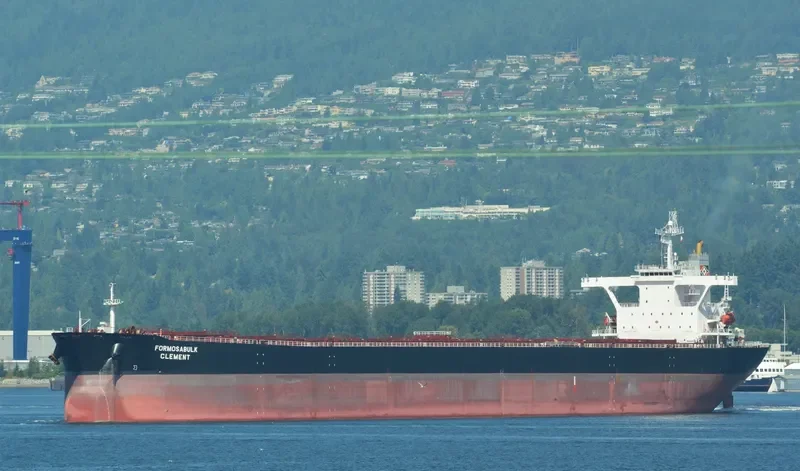 FORMOSABULK CLEMENT Bulk Carrier IMO 9222742 photo 6