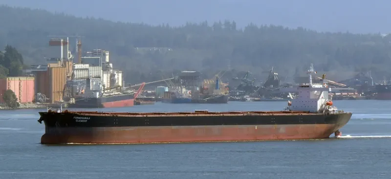 FORMOSABULK CLEMENT Bulk Carrier IMO 9222742 photo 7