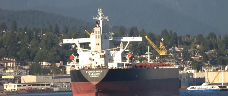 FORMOSABULK CLEMENT Bulk Carrier IMO 9222742 photo 8