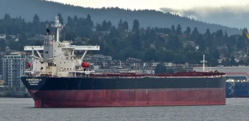FORMOSABULK CLEMENT Bulk Carrier IMO 9222742 photo 9