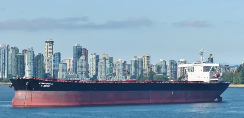 FORMOSABULK CLEMENT Bulk Carrier IMO 9222742 photo 10