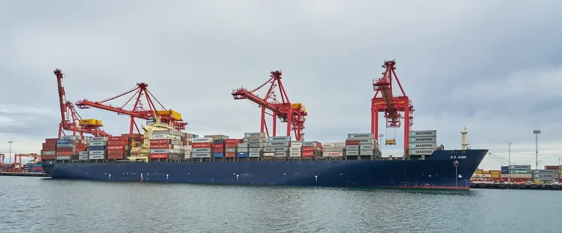 GSL DOROTHEA Container Ship IMO 9222974