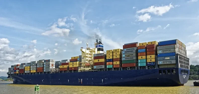GSL TEGEA Container Ship IMO 9222986 photo 2