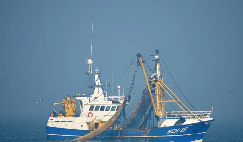 BOEIER General Cargo IMO 9223083 photo 6