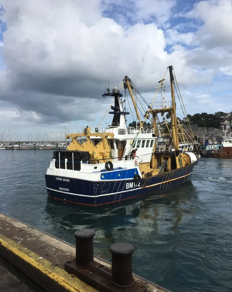 EMILY ROSE General Cargo IMO 9223095 photo 3