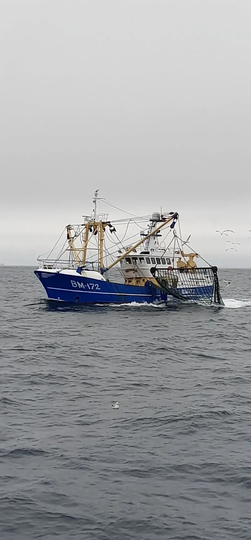 EMILY ROSE General Cargo IMO 9223095 photo 8