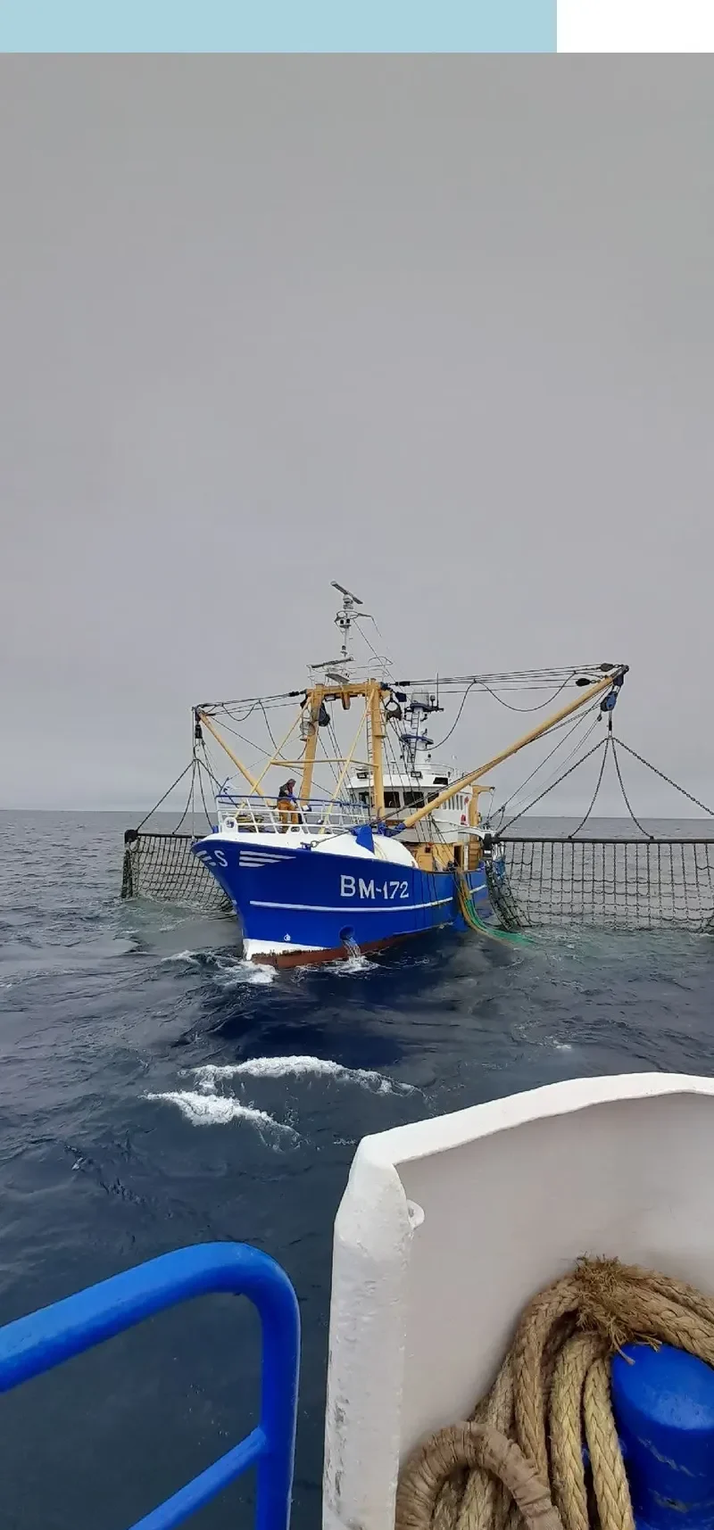 EMILY ROSE General Cargo IMO 9223095 photo 9