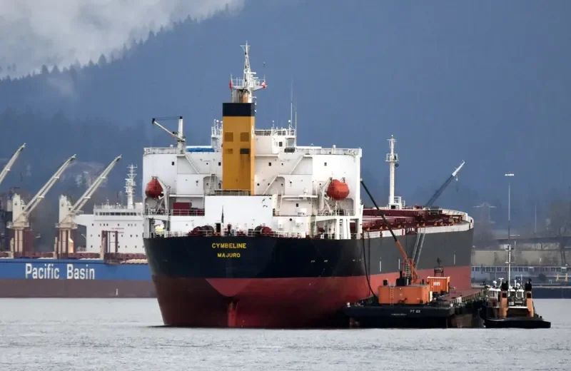 NAN XIN 7 Bulk Carrier IMO 9223198 photo 2