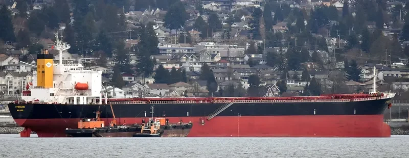 NAN XIN 7 Bulk Carrier IMO 9223198 photo 3