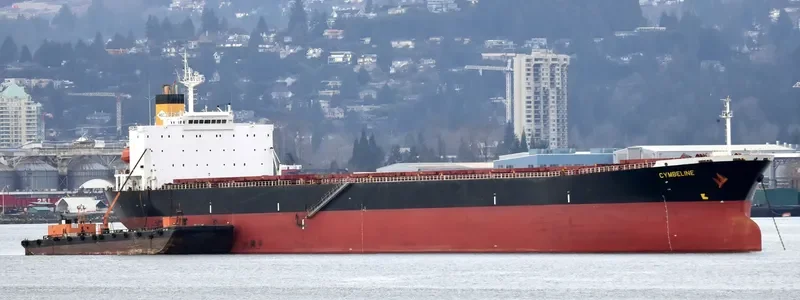 NAN XIN 7 Bulk Carrier IMO 9223198 photo 4