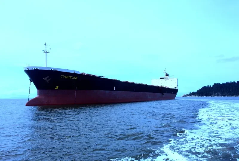 NAN XIN 7 Bulk Carrier IMO 9223198 photo 8