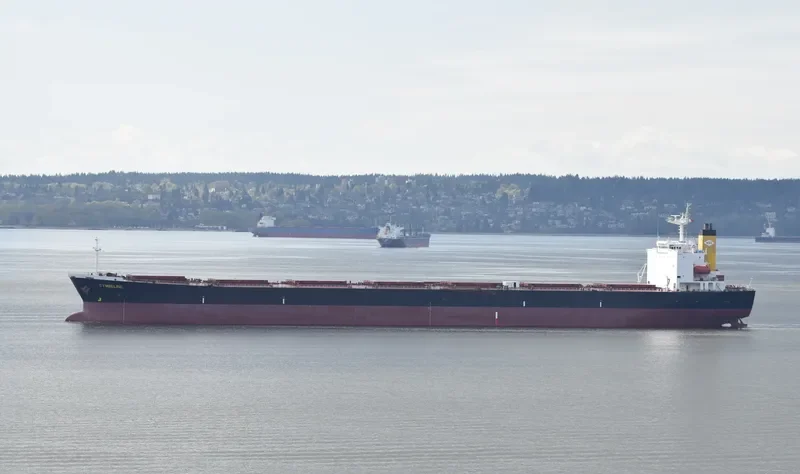 NAN XIN 7 Bulk Carrier IMO 9223198 photo 10