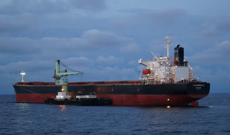 ASIA SPRING Bulk Carrier IMO 9223320 photo 9