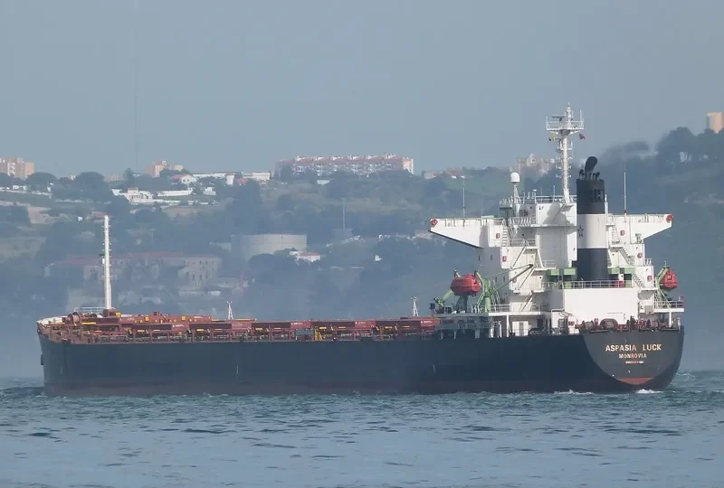 ASPASIA LUCK Bulk Carrier IMO 9223485 photo 4