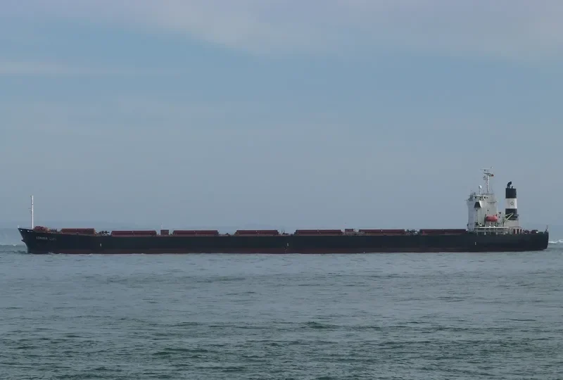 ASPASIA LUCK Bulk Carrier IMO 9223485 photo 5