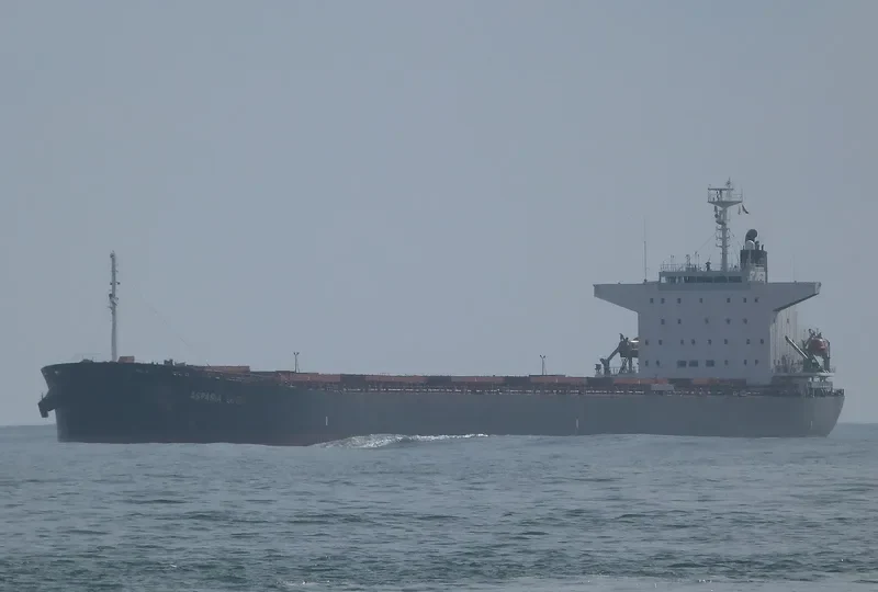ASPASIA LUCK Bulk Carrier IMO 9223485 photo 6