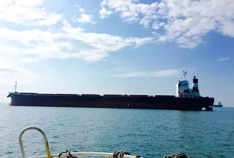 ASPASIA LUCK Bulk Carrier IMO 9223485 photo 8
