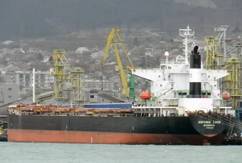 ASPASIA LUCK Bulk Carrier IMO 9223485 photo 9