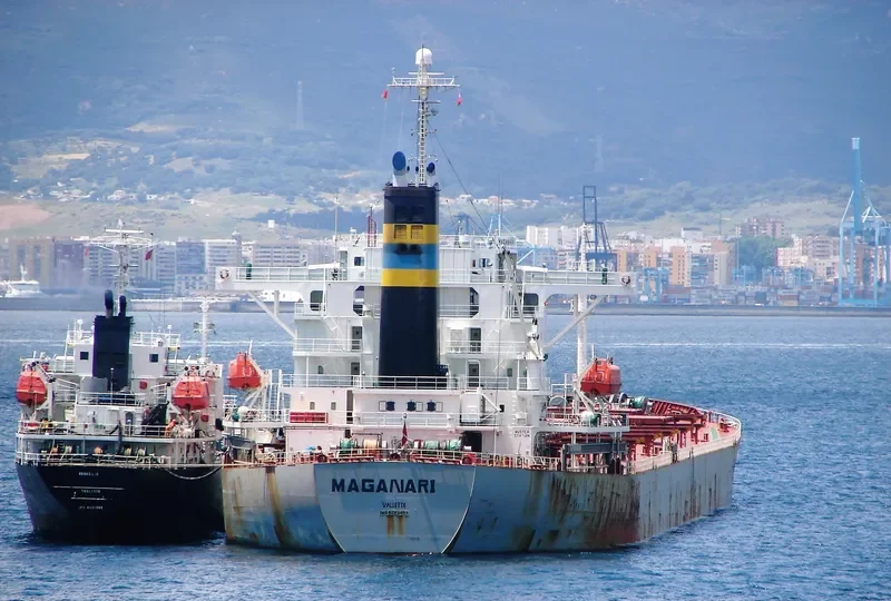 CHANG YANG JIN HE Bulk Carrier IMO 9223497