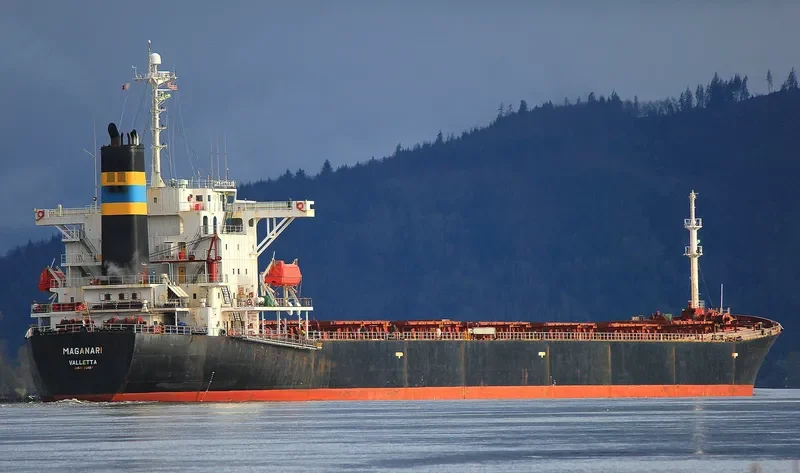 CHANG YANG JIN HE Bulk Carrier IMO 9223497 photo 2