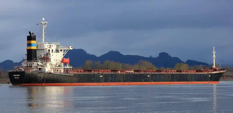 CHANG YANG JIN HE Bulk Carrier IMO 9223497 photo 3