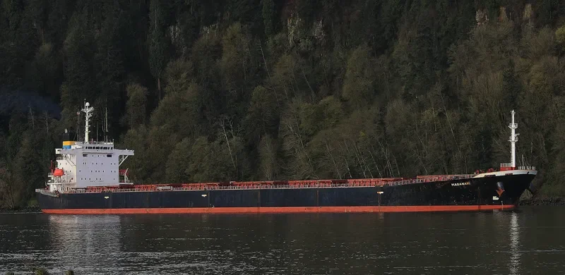 CHANG YANG JIN HE Bulk Carrier IMO 9223497 photo 5