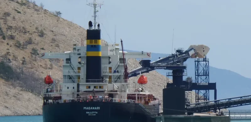 CHANG YANG JIN HE Bulk Carrier IMO 9223497 photo 6
