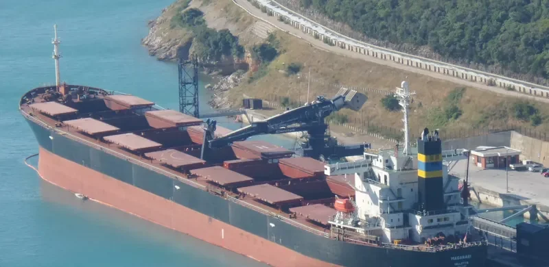 CHANG YANG JIN HE Bulk Carrier IMO 9223497 photo 7